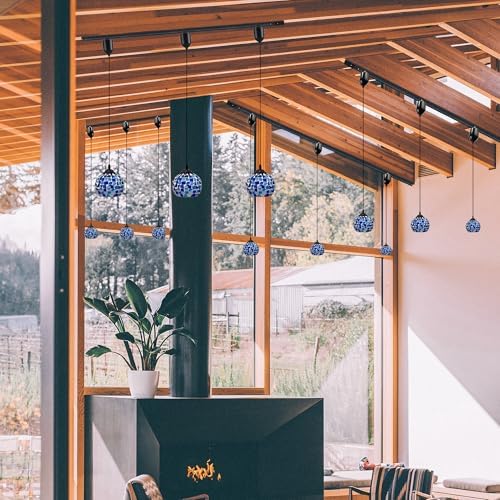 Glob e Adjustable Track Pendant light