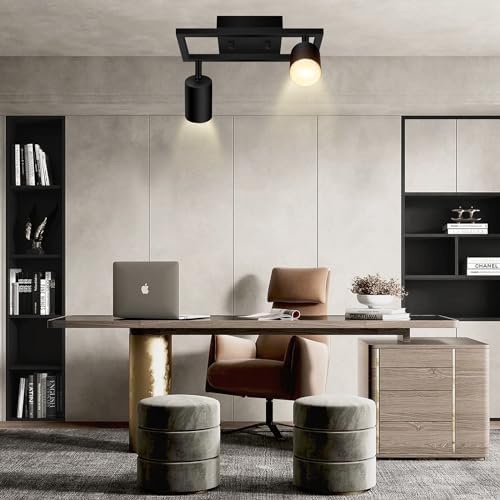 BoostArea 2-Light Track Lighting Fixtures Matte Black Complete Kit