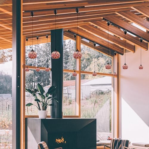 Adjustable Globe Pendant Light