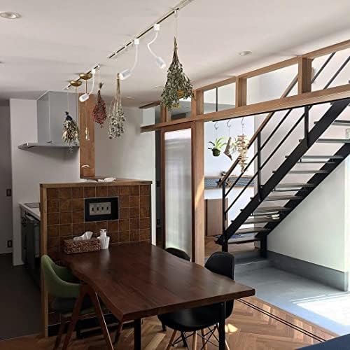 3-Pack Track Lighting Aluminum Spotlights with Dimming
