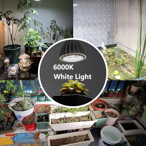 Adjustable Lighting System for Plant Rooms
