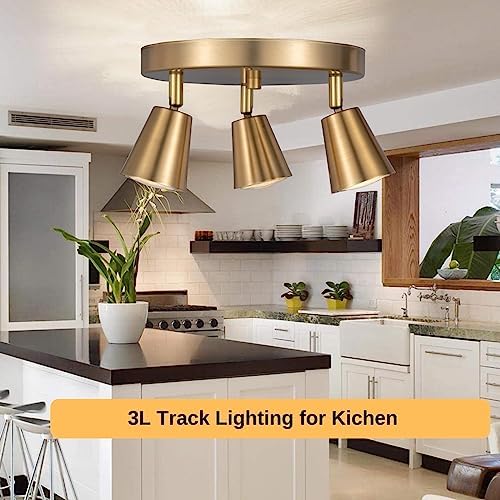 CRAFTRONOS 3 Light Track Ceiling Spotlight
