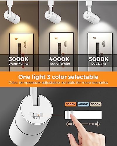 3-Color Adjustable LED Track Lighting Heads
