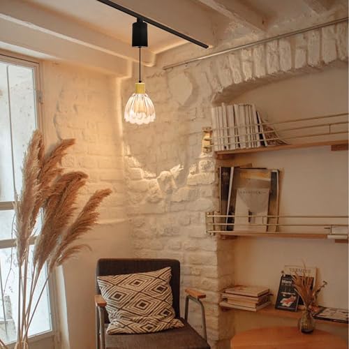 Adjustable E26 Pendant Light with Glass Cover 65ft Dimmable Natural Wood